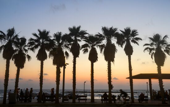 Cities of the world. Tel Aviv
