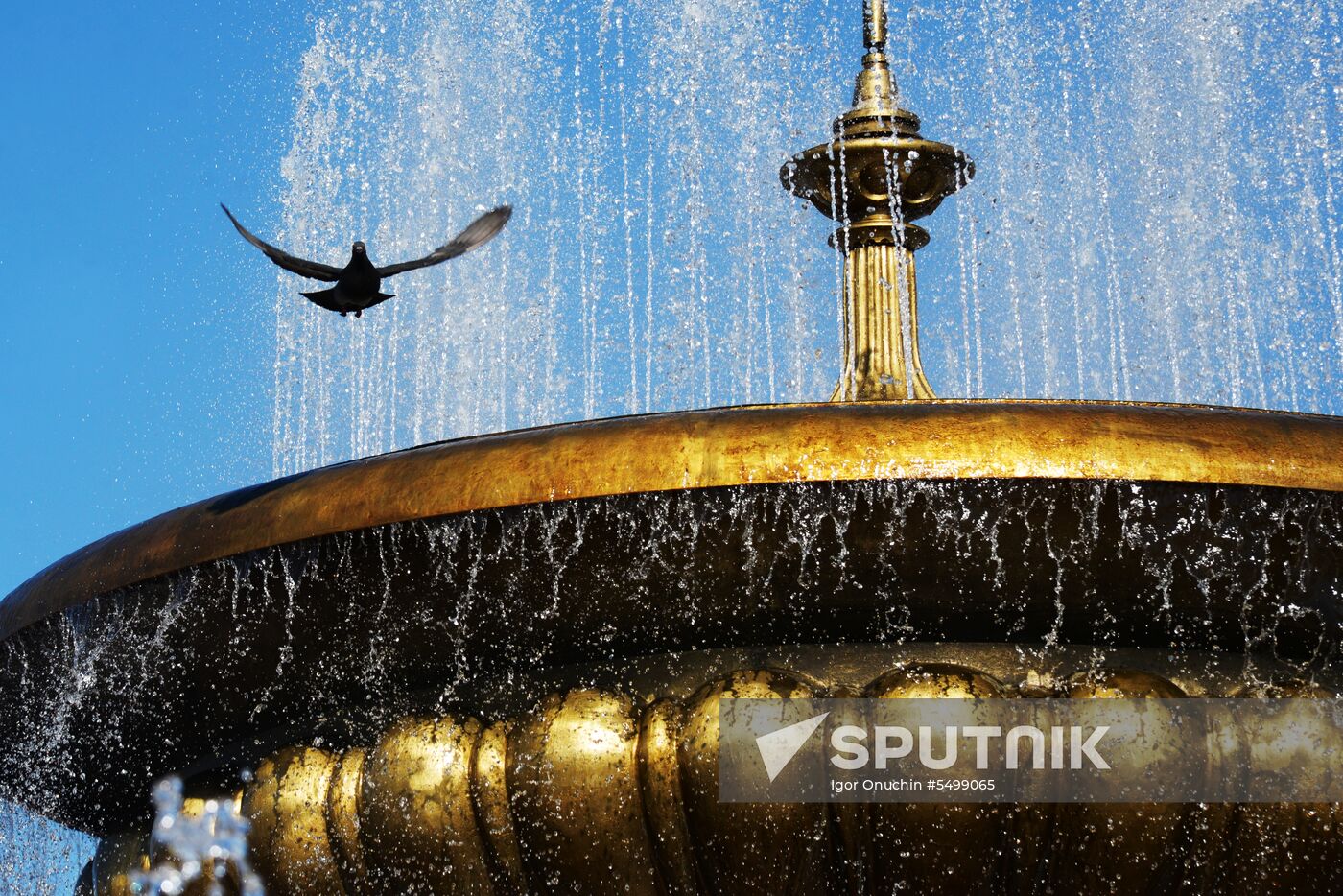Fountains in Khabarovsk
