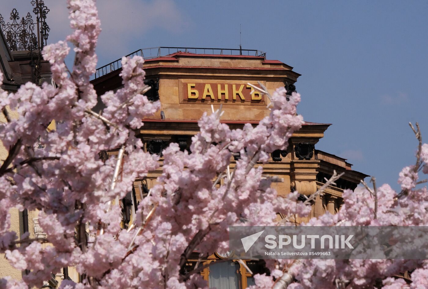 Bank