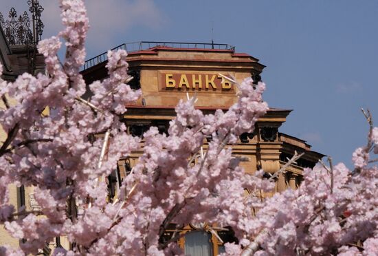 Bank