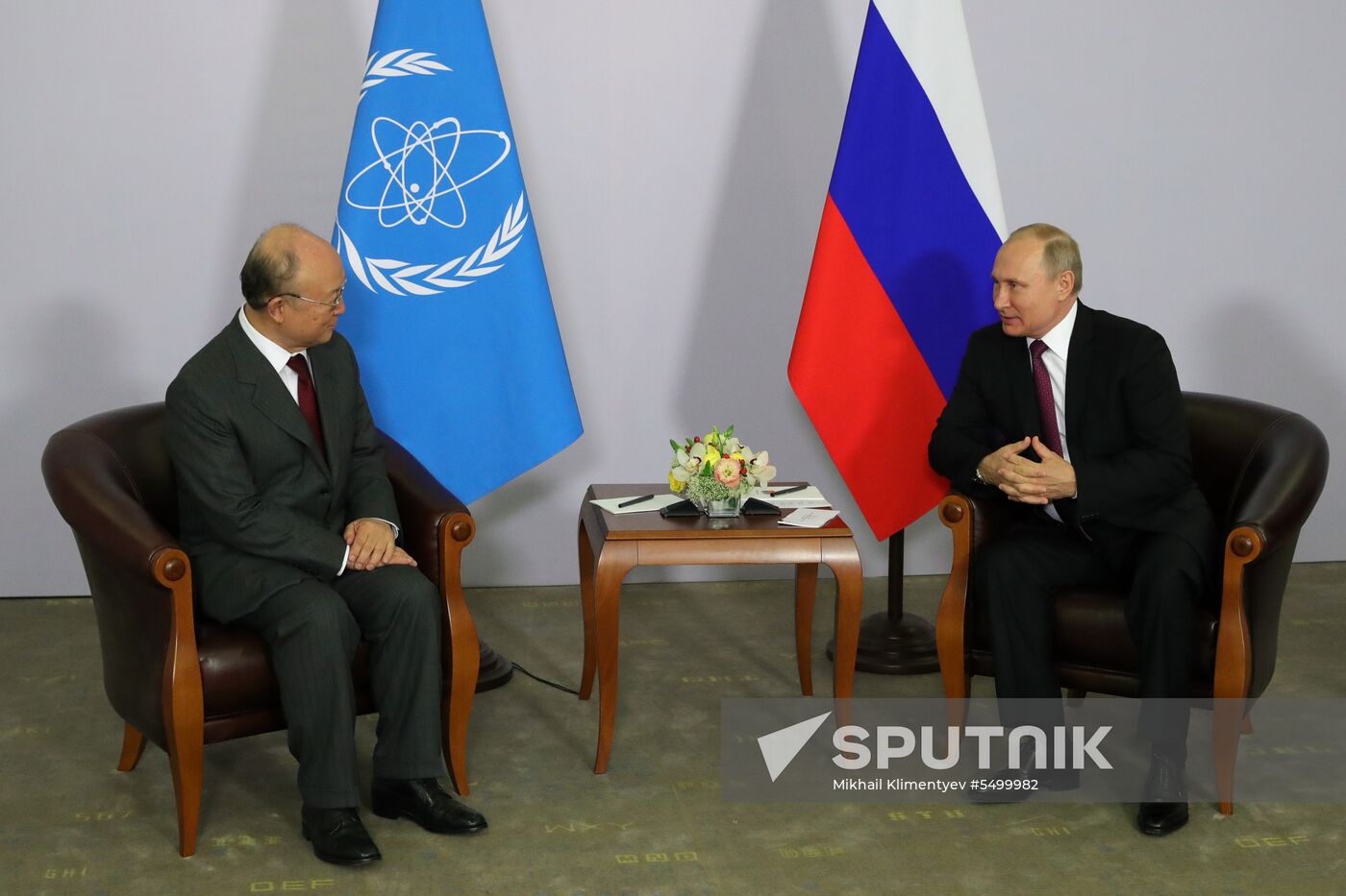 President Putin meets with IAEA Director Amano
