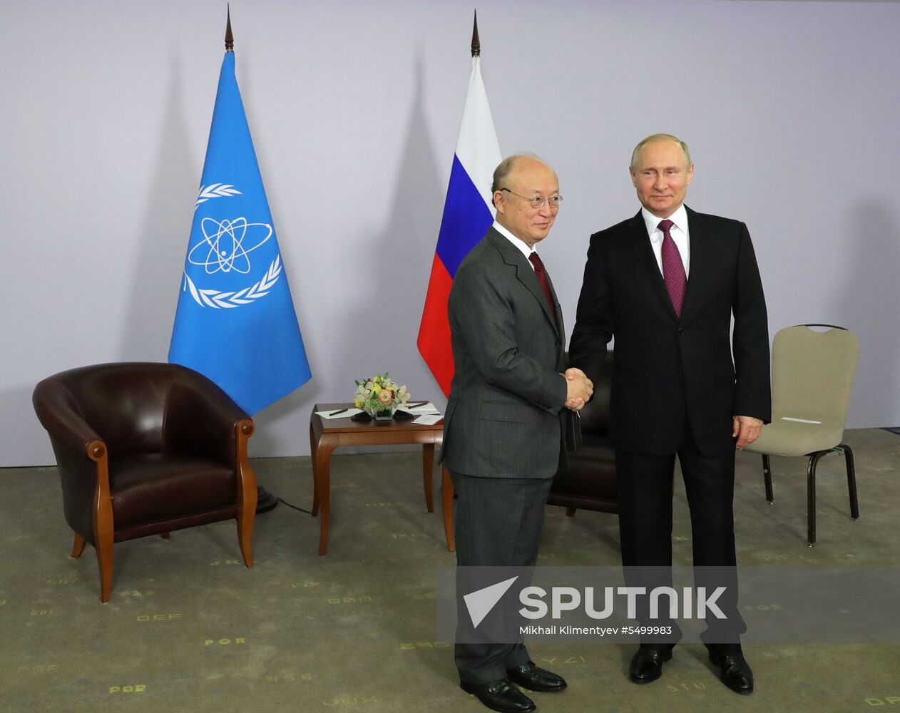 President Putin meets with IAEA Director Amano