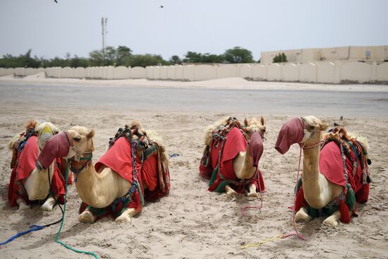 Countries of the world. Qatar