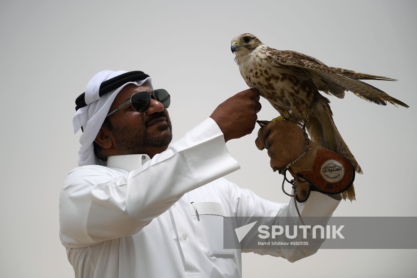 Countries of the world. Qatar