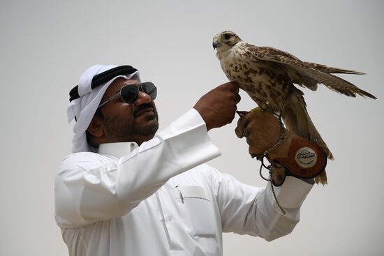 Countries of the world. Qatar