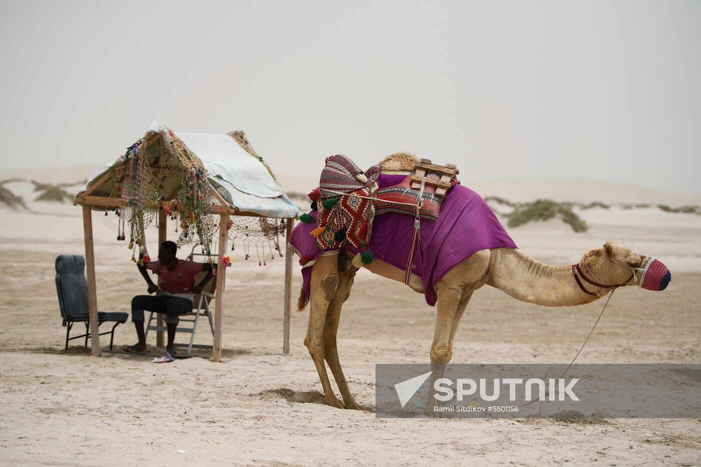 Countries of the world. Qatar