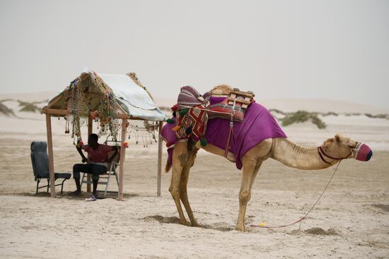 Countries of the world. Qatar