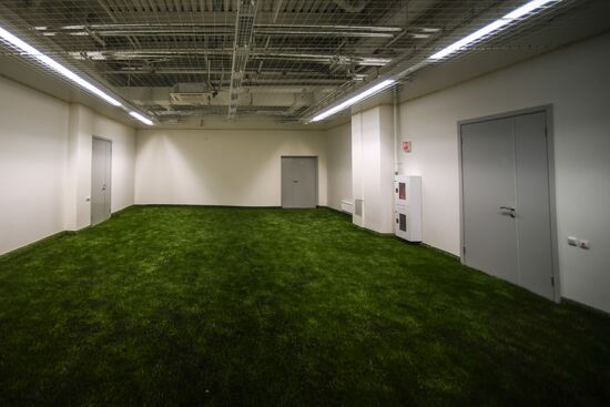 Kaliningrad Stadium