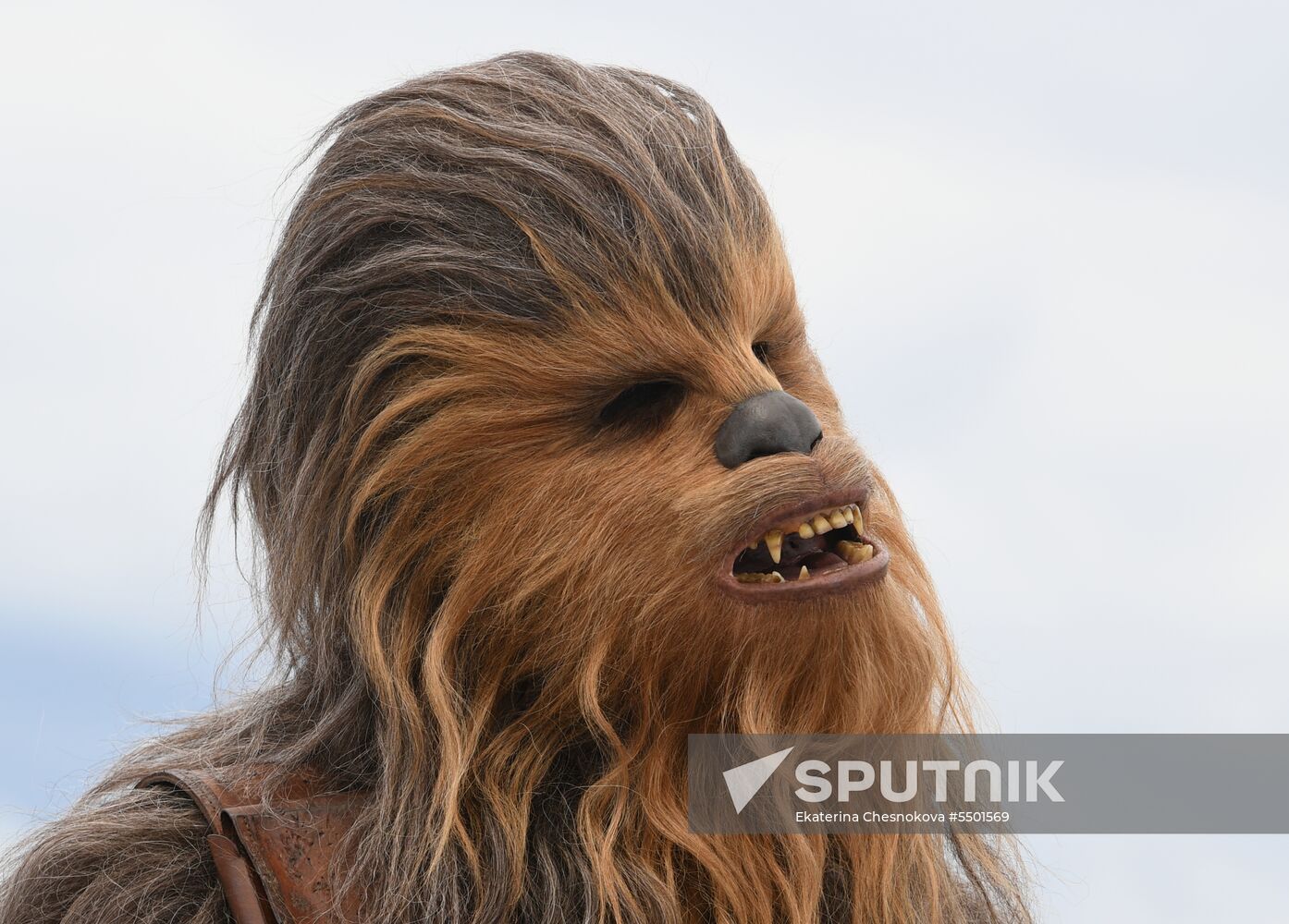 71st Cannes Film Festival. Day eight