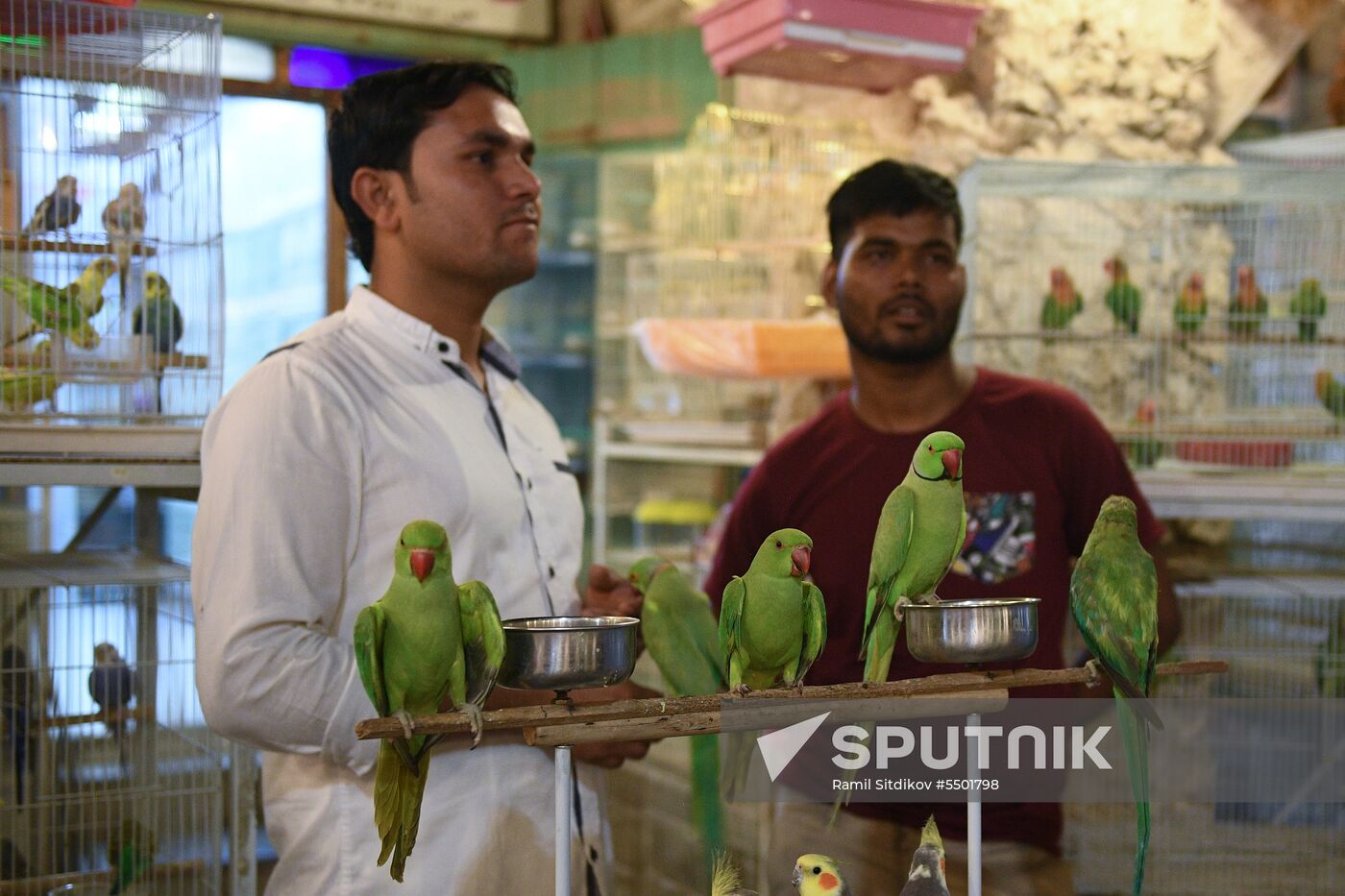 Countries of the world. Qatar