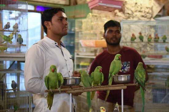 Countries of the world. Qatar