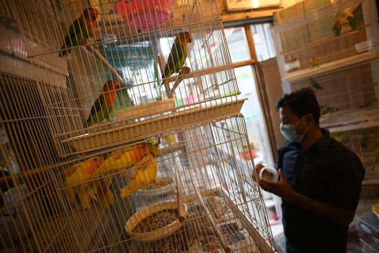 Countries of the world. Qatar