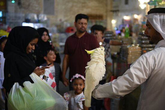 Countries of the world. Qatar