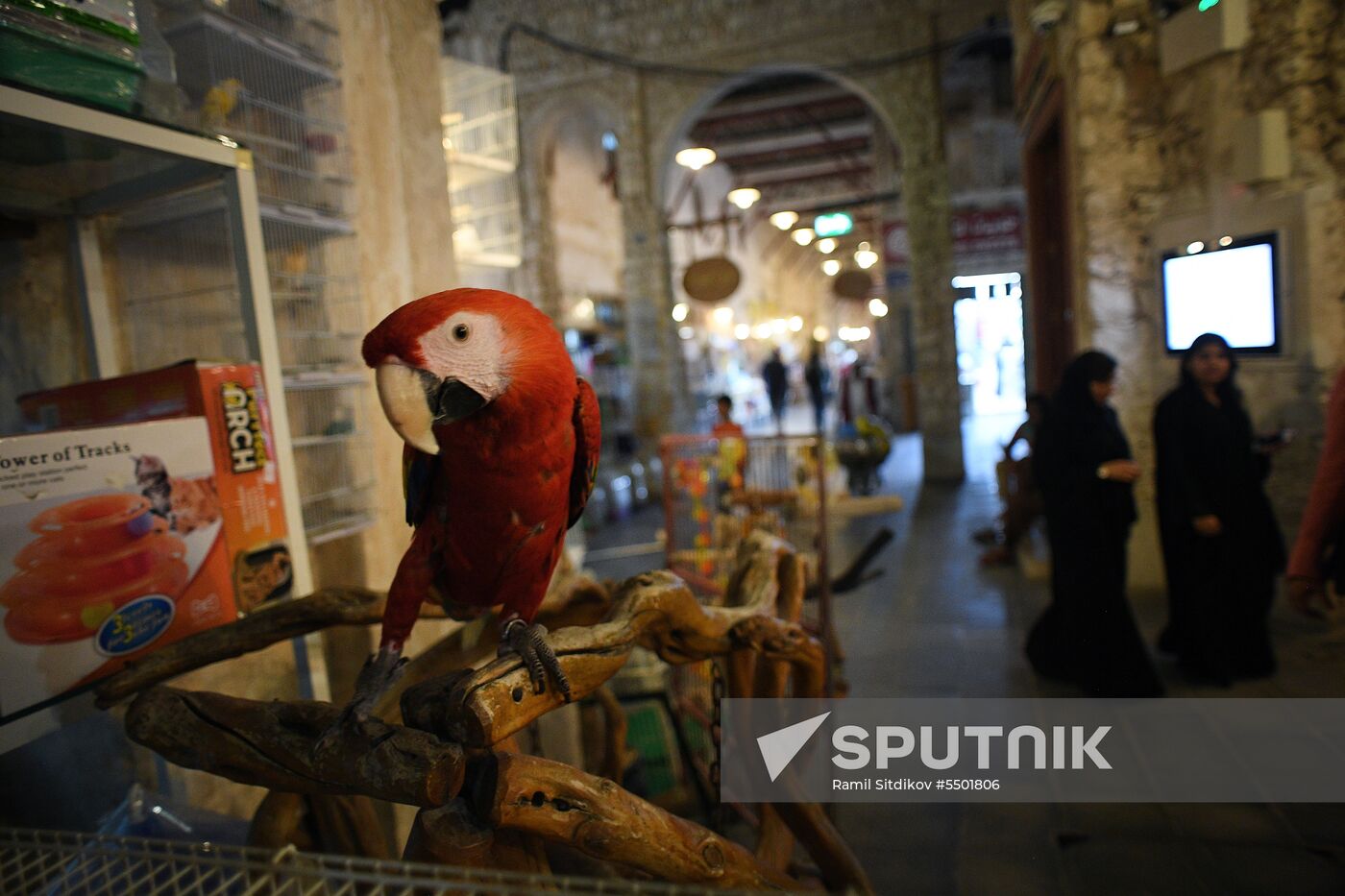 Countries of the world. Qatar