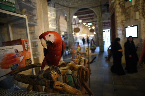 Countries of the world. Qatar