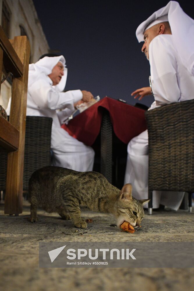 Countries of the world. Qatar