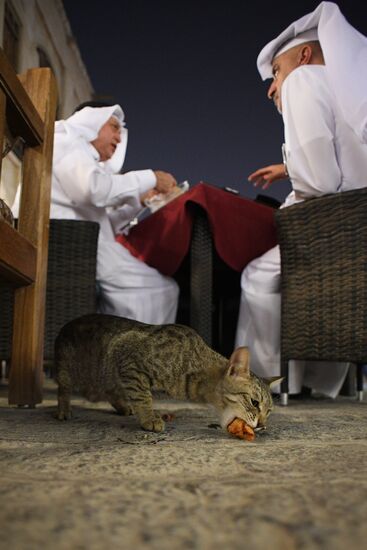 Countries of the world. Qatar