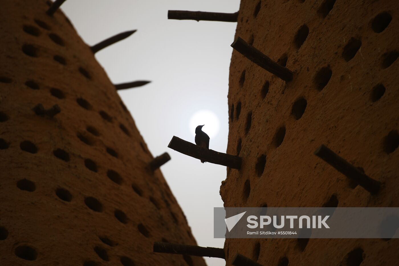 Countries of the world. Qatar