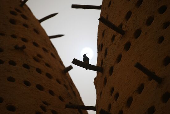 Countries of the world. Qatar