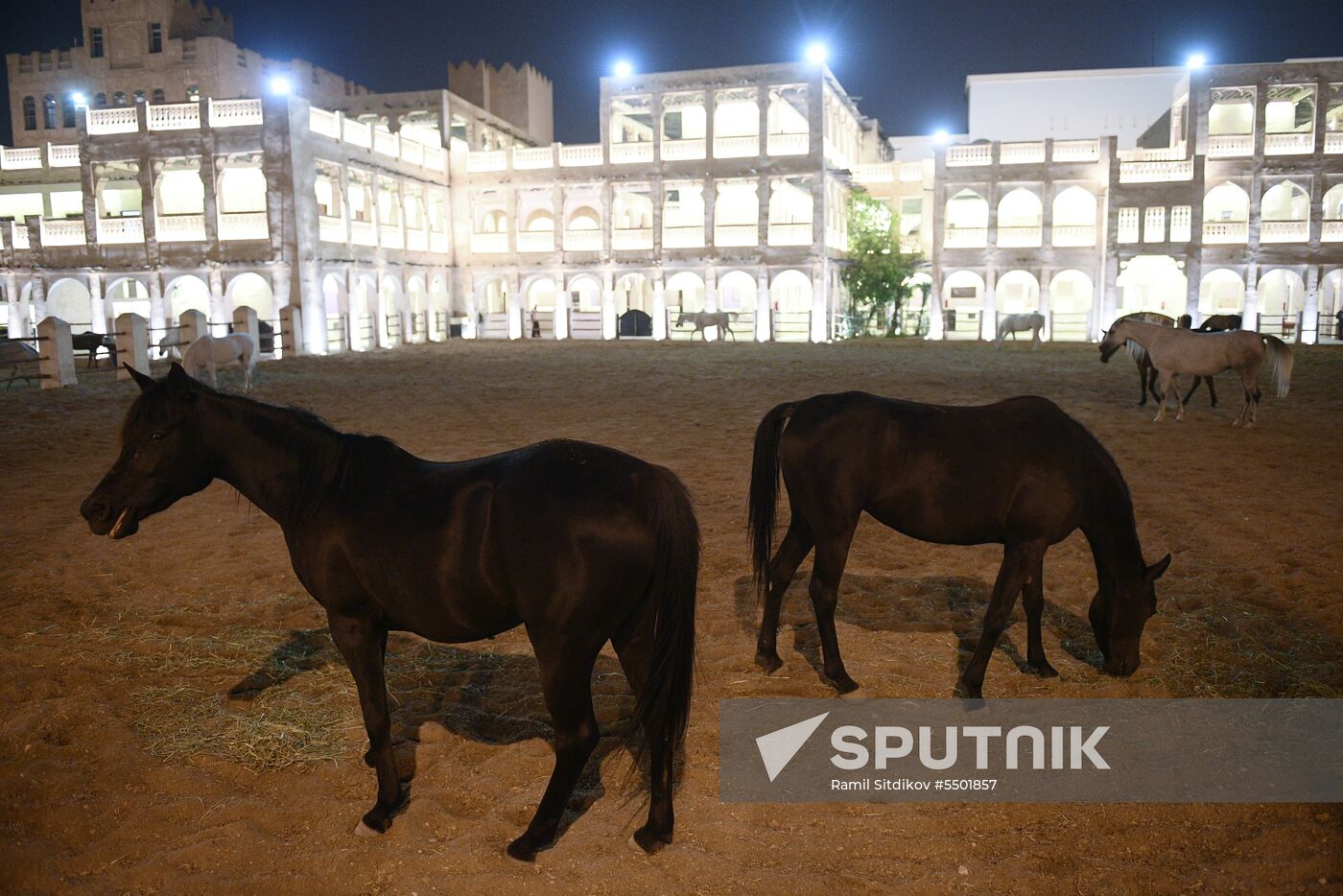 Countries of the world. Qatar