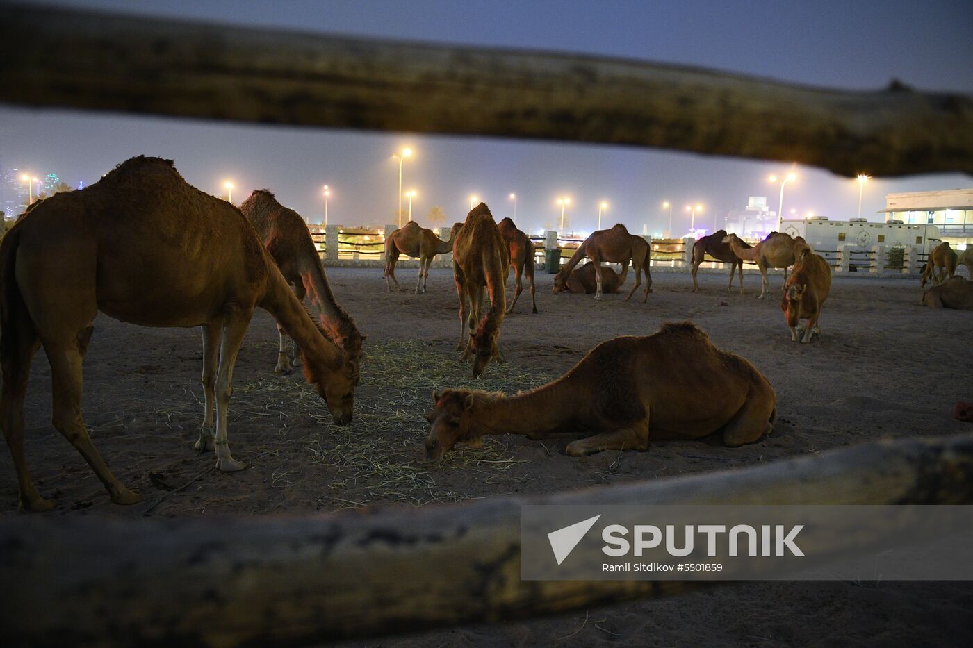 Countries of the world. Qatar