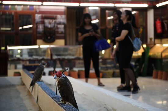 Countries of the world. Qatar