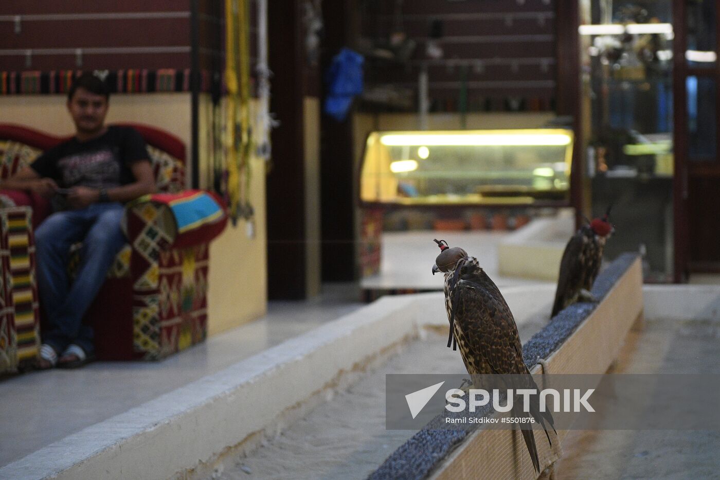 Countries of the world. Qatar