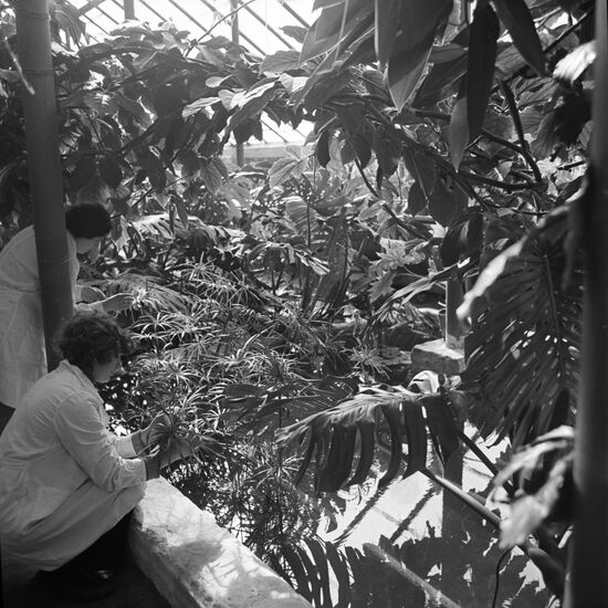 Rostov State University