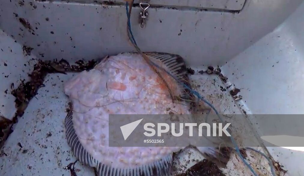 Russian Federal Security Service detains Ukrainian fishing boat YaMK-0041 in Crimea