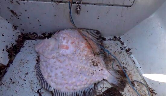 Russian Federal Security Service detains Ukrainian fishing boat YaMK-0041 in Crimea