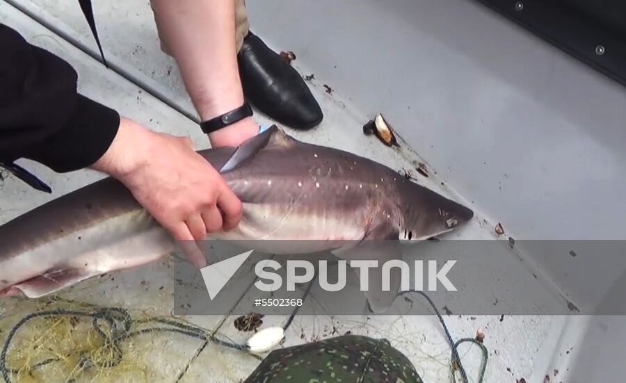 Russian Federal Security Service detains Ukrainian fishing boat YaMK-0041 in Crimea