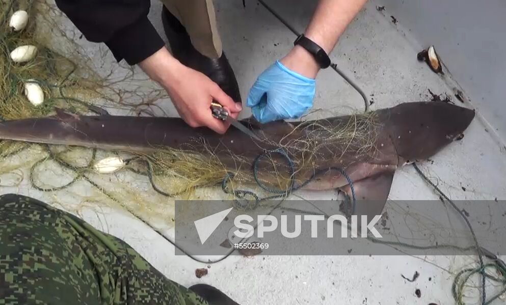 Russian Federal Security Service detains Ukrainian fishing boat YaMK-0041 in Crimea