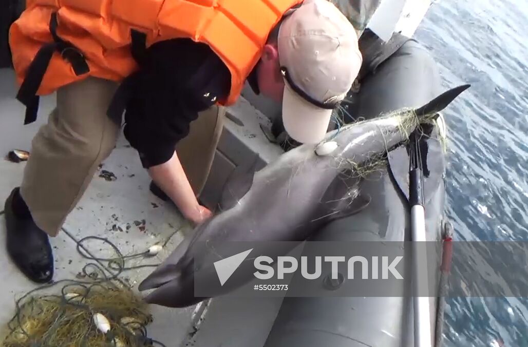 Russian Federal Security Service detains Ukrainian fishing boat YaMK-0041 in Crimea