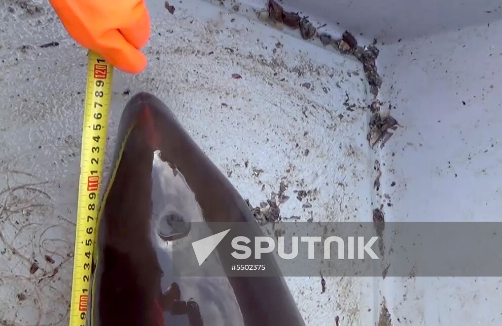 Russian Federal Security Service detains Ukrainian fishing boat YaMK-0041 in Crimea