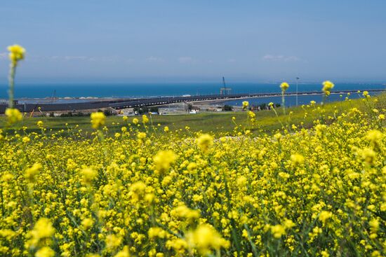 Crimean Bridge open for car traffic