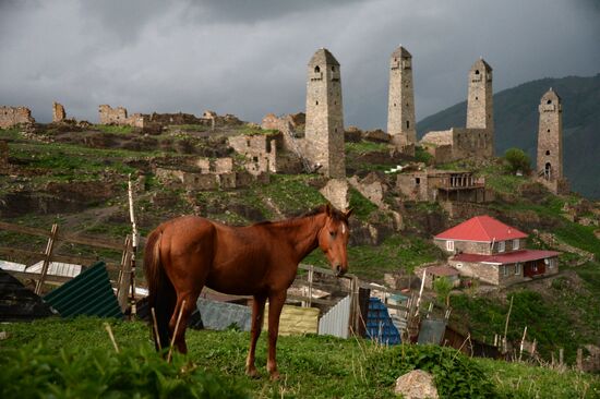 Sharoi village in Chechnya