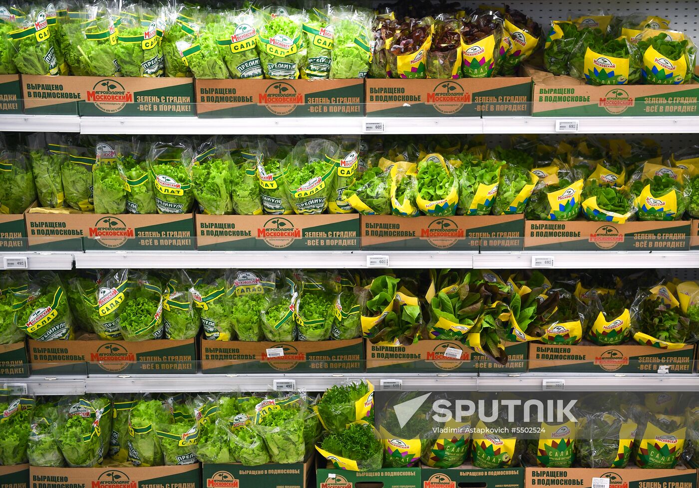 Auchan hypermarket chain launches new commercial model