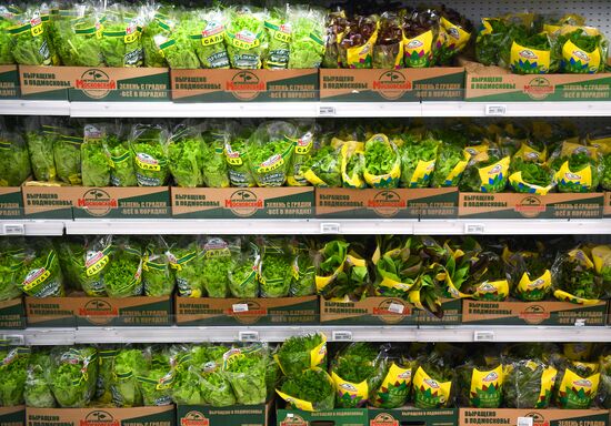 Auchan hypermarket chain launches new commercial model