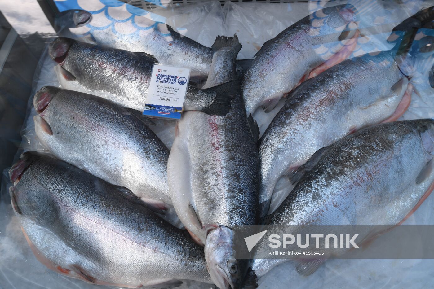 Fish Week in Moscow