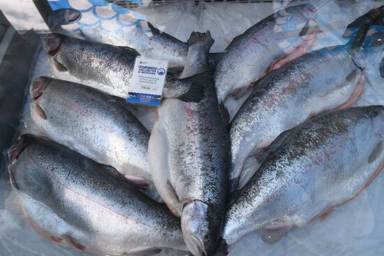 Fish Week in Moscow