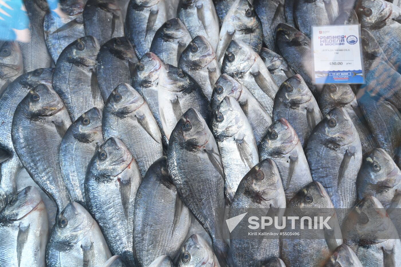 Fish Week in Moscow
