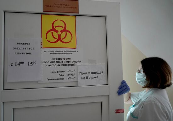 Laboratory of extremely hazardous and feral herd infections in Kaliningrad