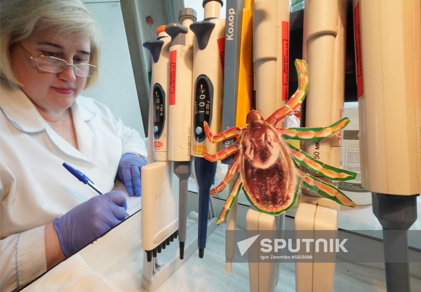 Laboratory of extremely hazardous and feral herd infections in Kaliningrad