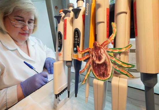 Laboratory of extremely hazardous and feral herd infections in Kaliningrad