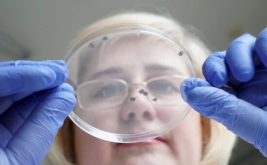 Laboratory of extremely hazardous and feral herd infections in Kaliningrad