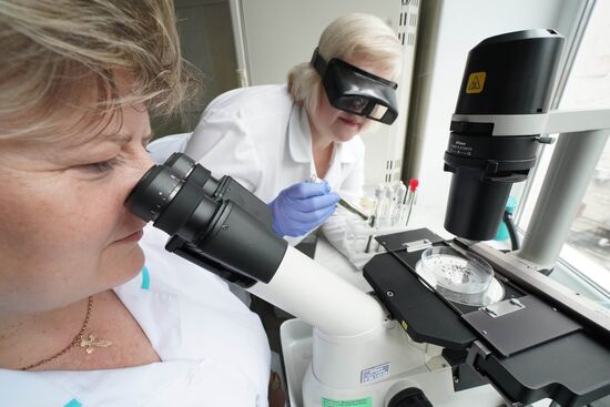 Laboratory of extremely hazardous and feral herd infections in Kaliningrad