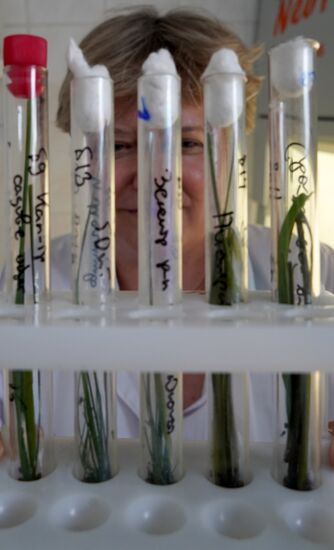 Laboratory of extremely hazardous and feral herd infections in Kaliningrad