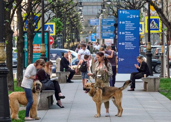 Preparing St. Petersburg for the 2018 FIFA World Cup