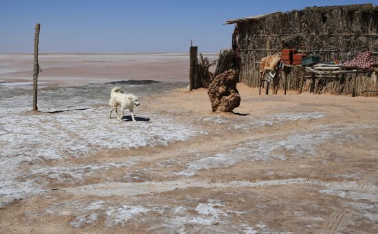 Countries of the world. Tunisia