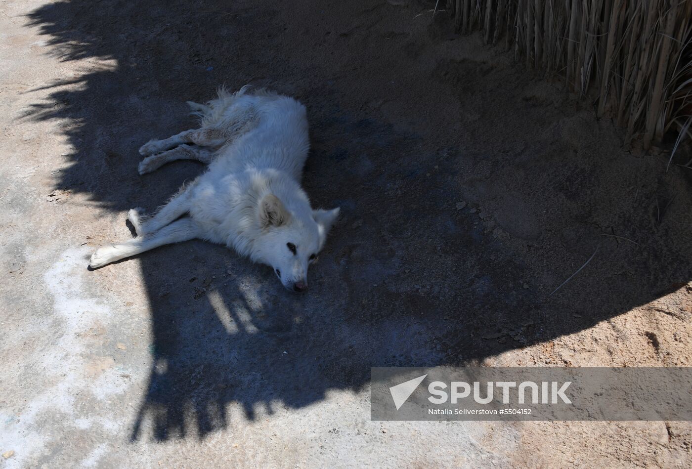 Countries of the world. Tunisia